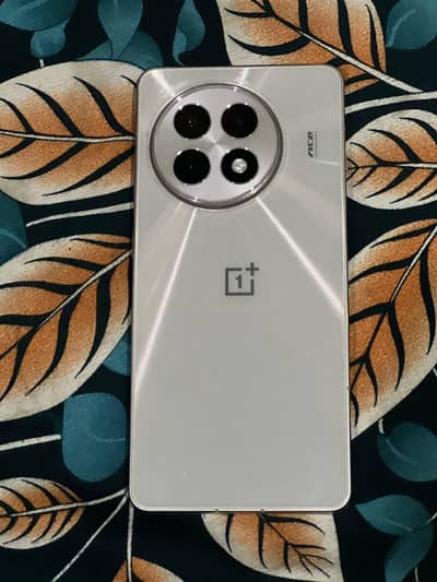 One Plus 13R