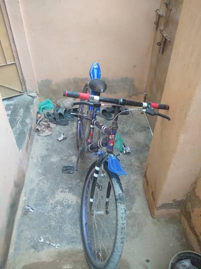 all ok h cycle