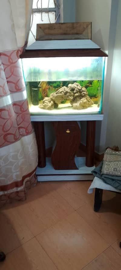 aquarium and accessories