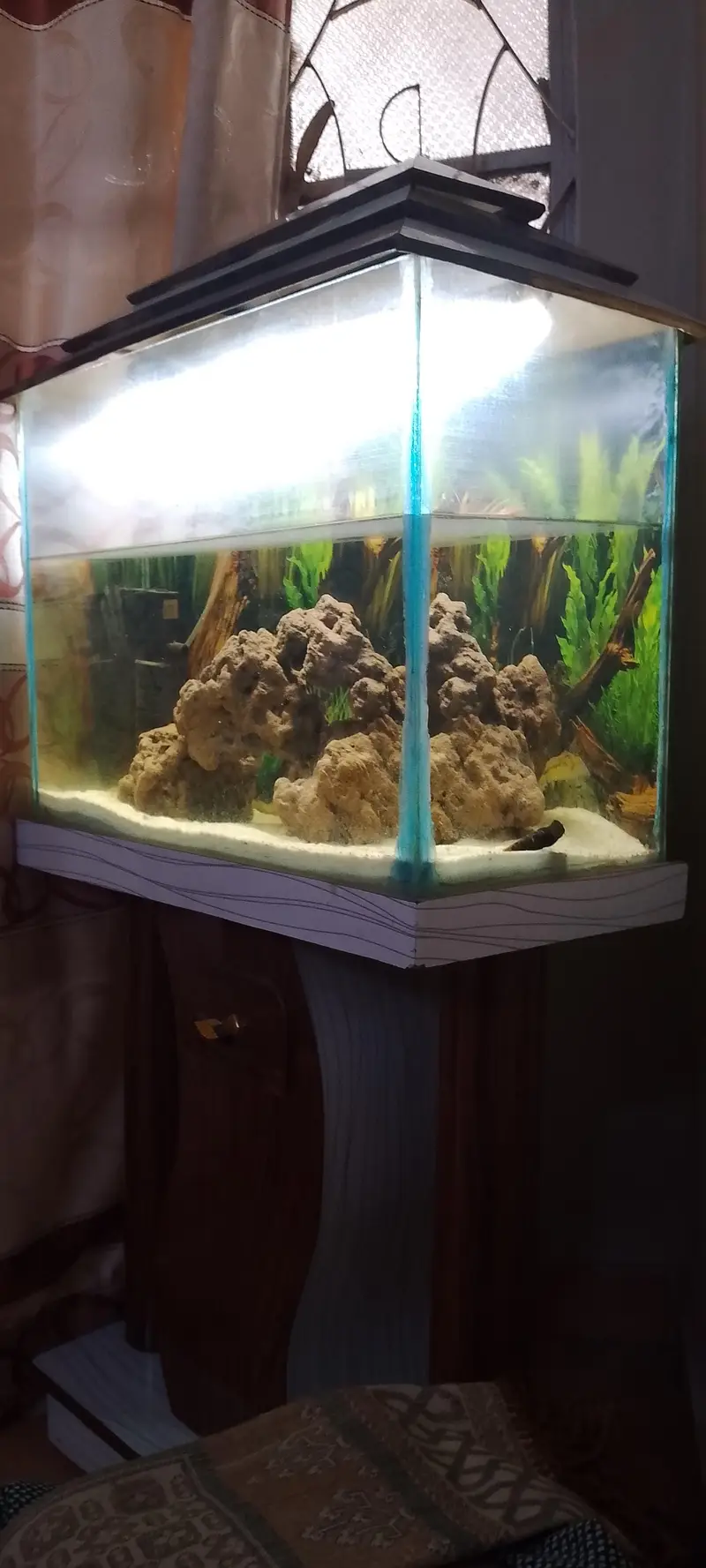 aquarium and accessories — photo 2