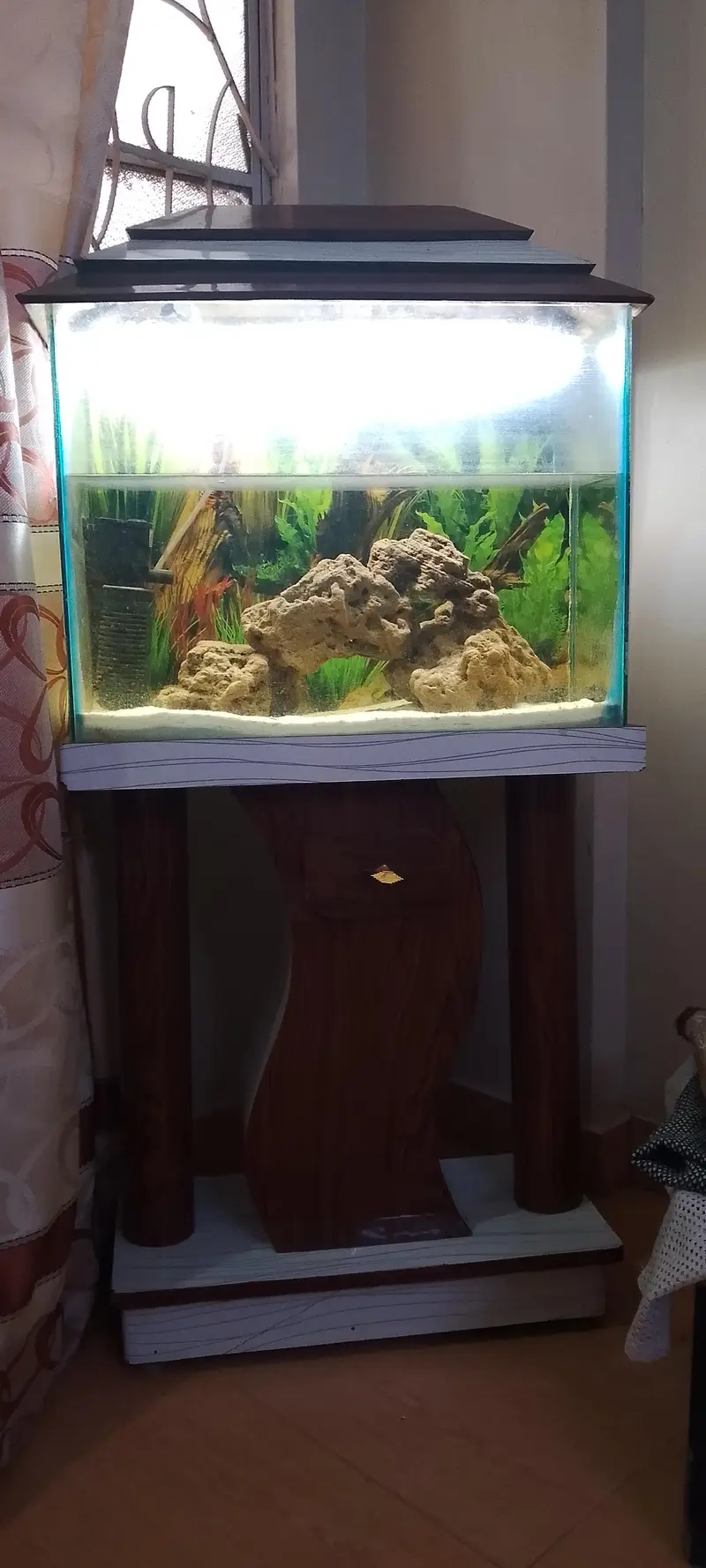 aquarium and accessories — photo 3
