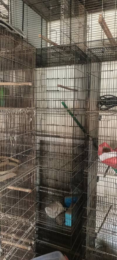 Cage for sale 9/10