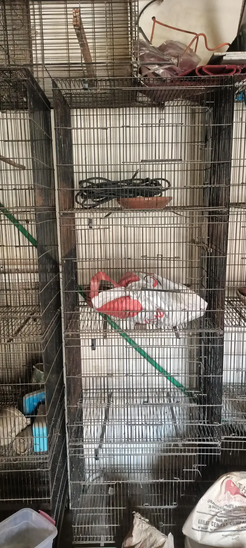 Cage for sale 9/10 — photo 4