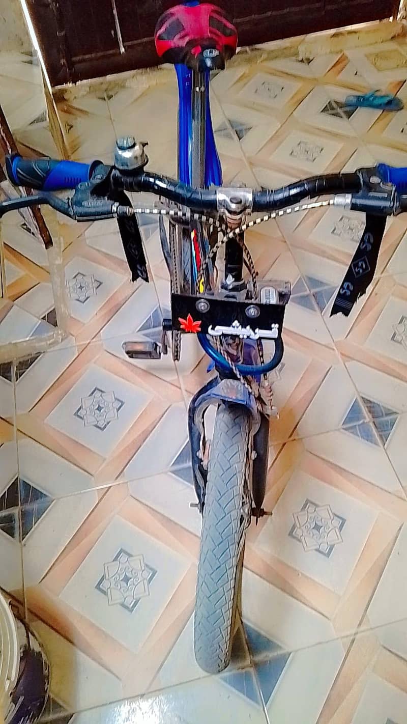 VIP cycle  0