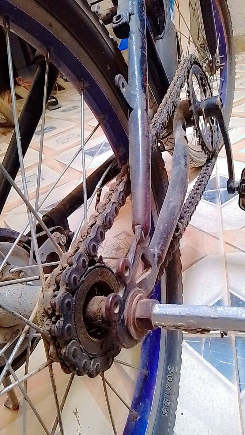 VIP cycle  3