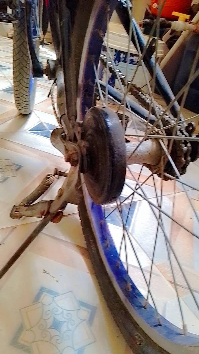 VIP cycle  4