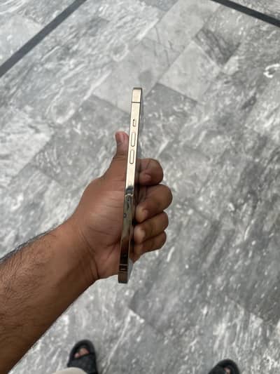 Apple iPhone 12 Pro Max