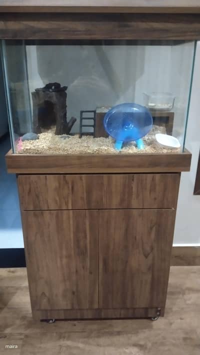 multi use aquarium