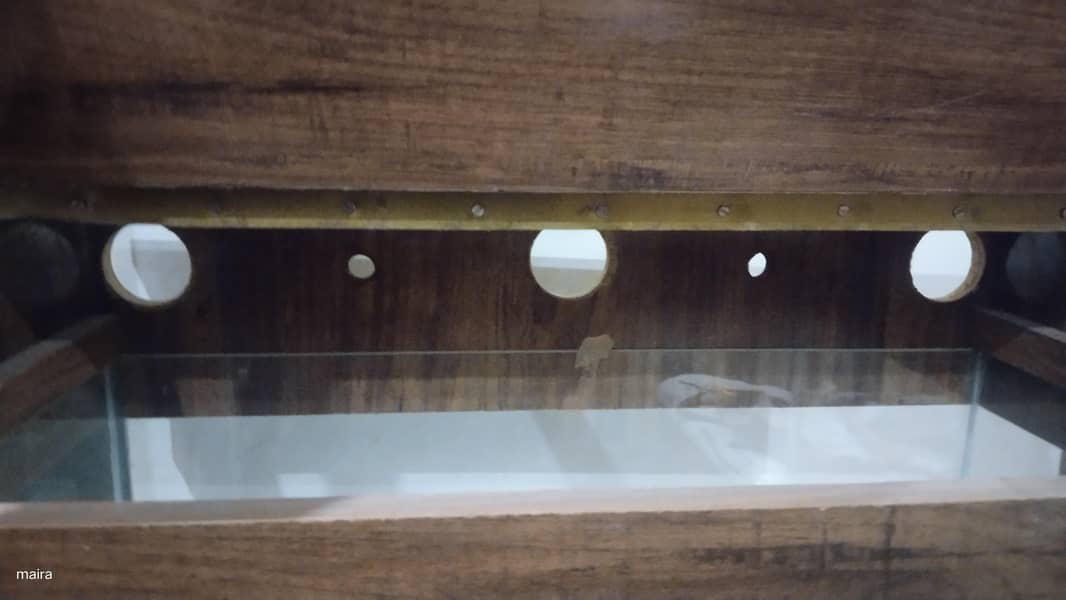 multi use aquarium 8