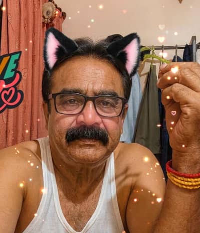 Pookie Cat for sale