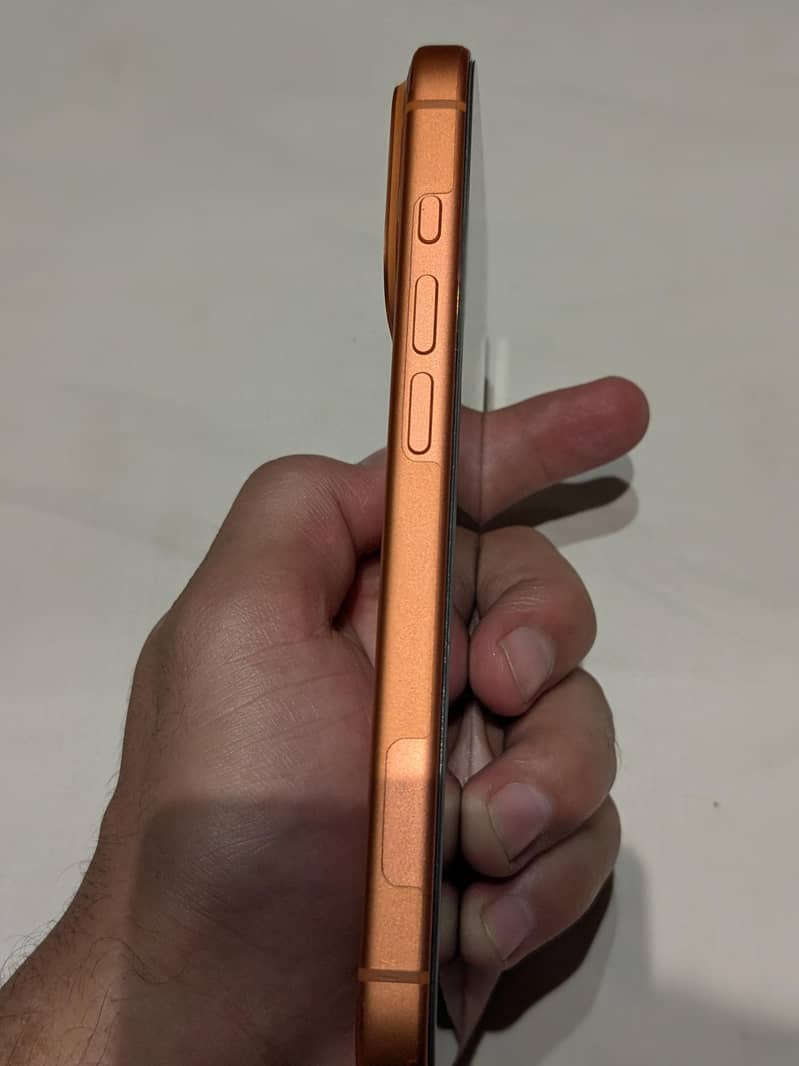17 pro 1
