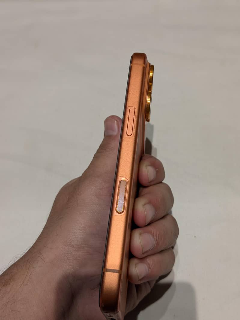 17 pro 2