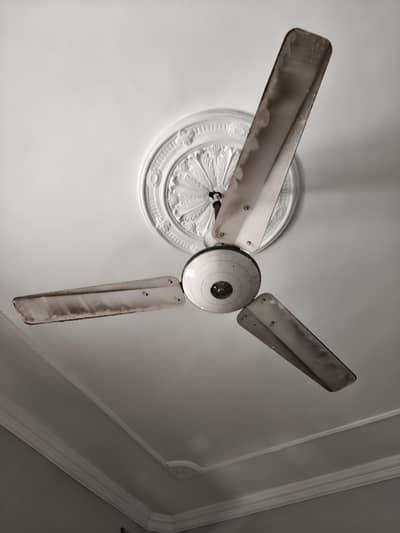 old fans 400 per kg sale kre