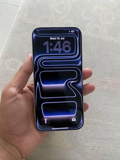 17 pro max