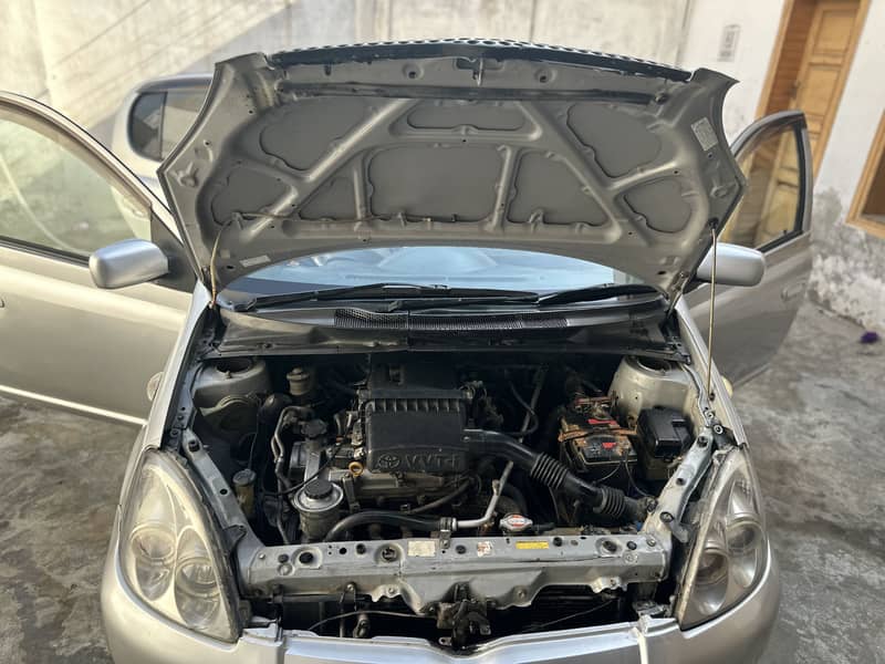 Vitz 1999 13
