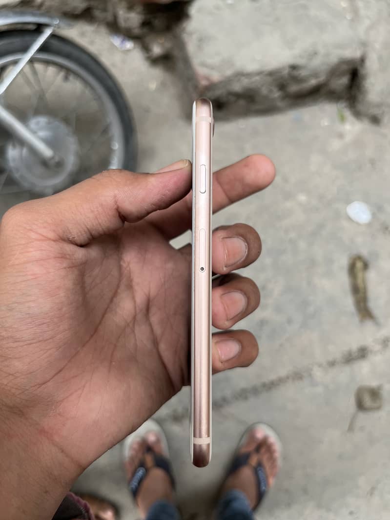 Apple iPhone 8 0