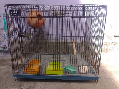 Birds cages