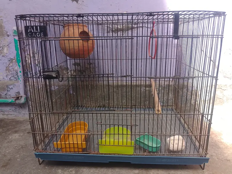 Birds cages — photo 2
