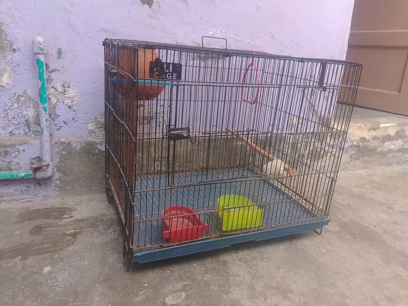 Birds cages — photo 4