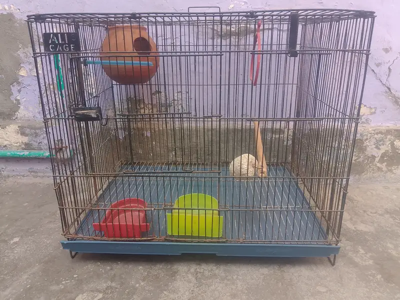 Birds cages — photo 6
