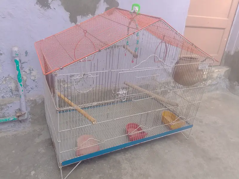 Birds cages — photo 7