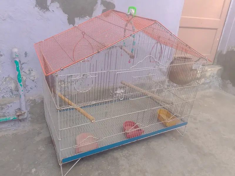 Birds cages — photo 8