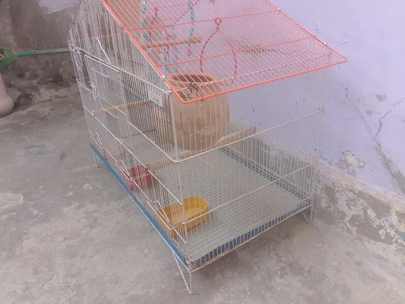 Birds cages — photo 9