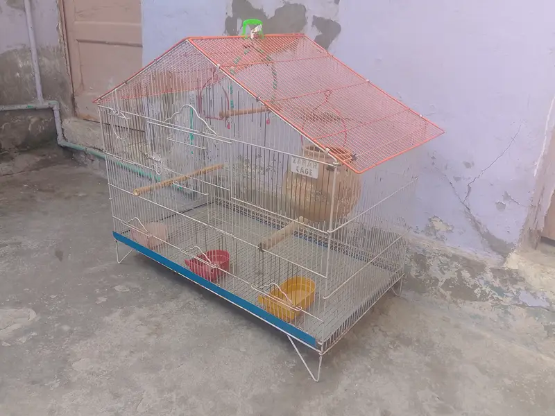 Birds cages — photo 10