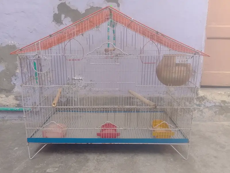 Birds cages — photo 11