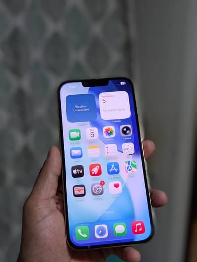 Apple iPhone 13 Pro Max