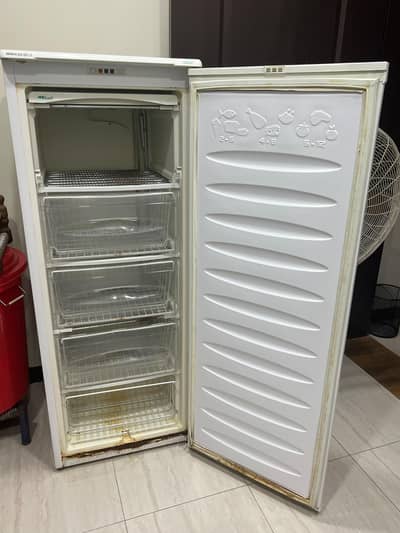 freezer of BEKO