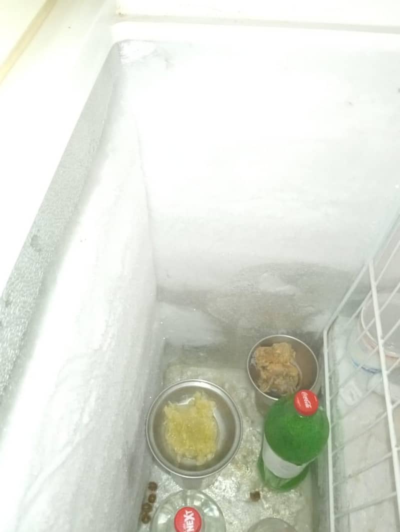 freezer 6