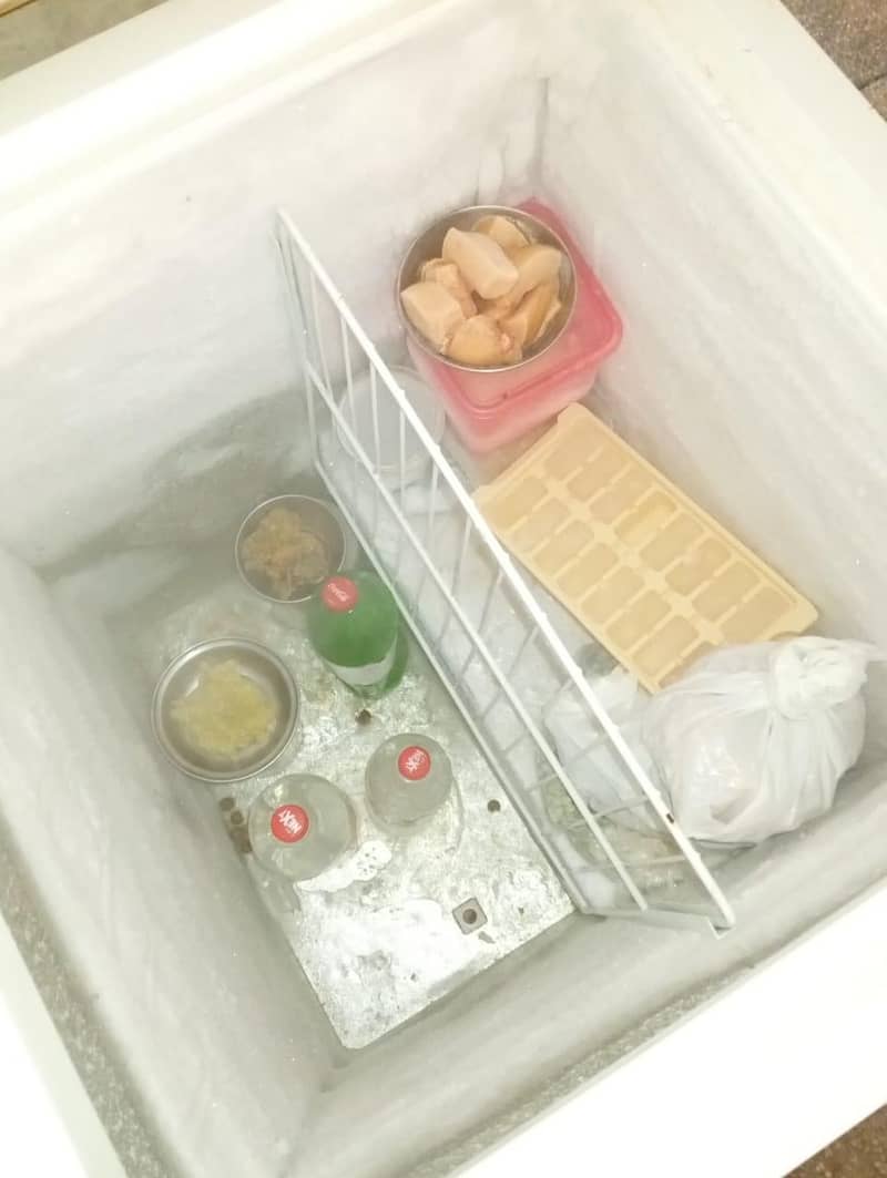 freezer 7
