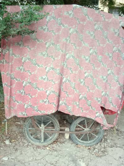 pan cabin