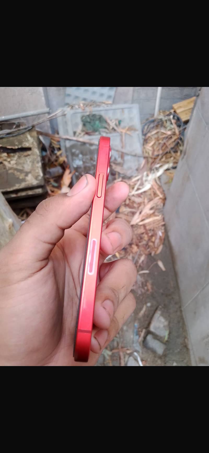 Apple iPhone 12 1