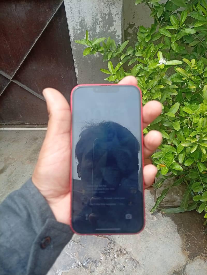 Apple iPhone 13 0