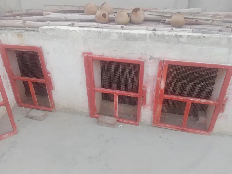 Bird Cages Doors — photo 2