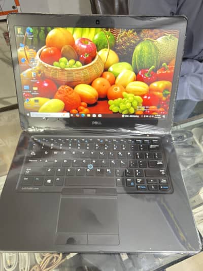 Model  . Dell latitude 7450