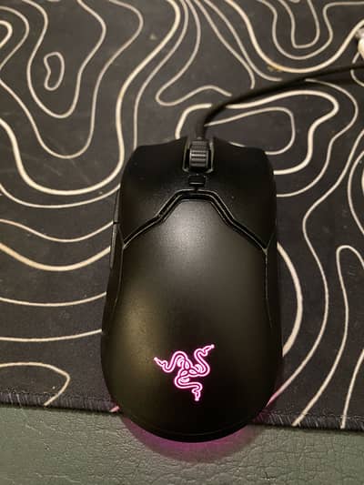 Razer viper mini
