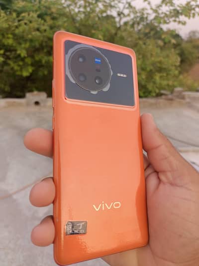 Vivo X80