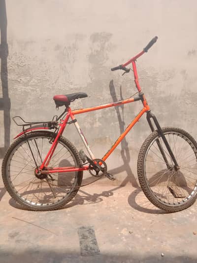 willing bicycle