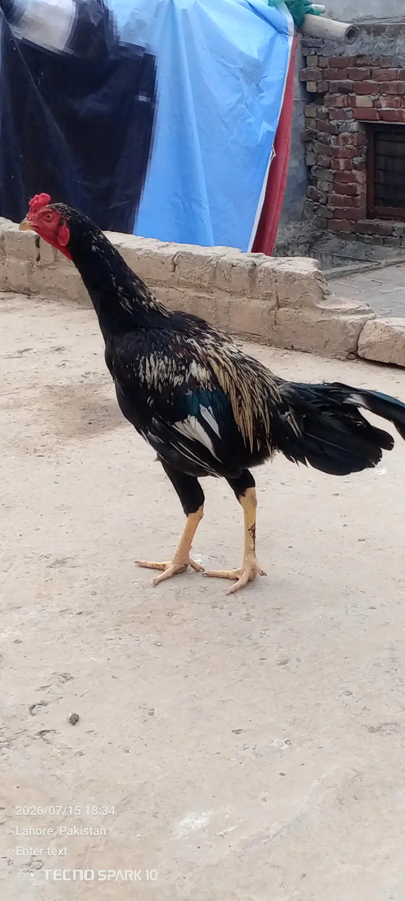 mianwali — photo 3