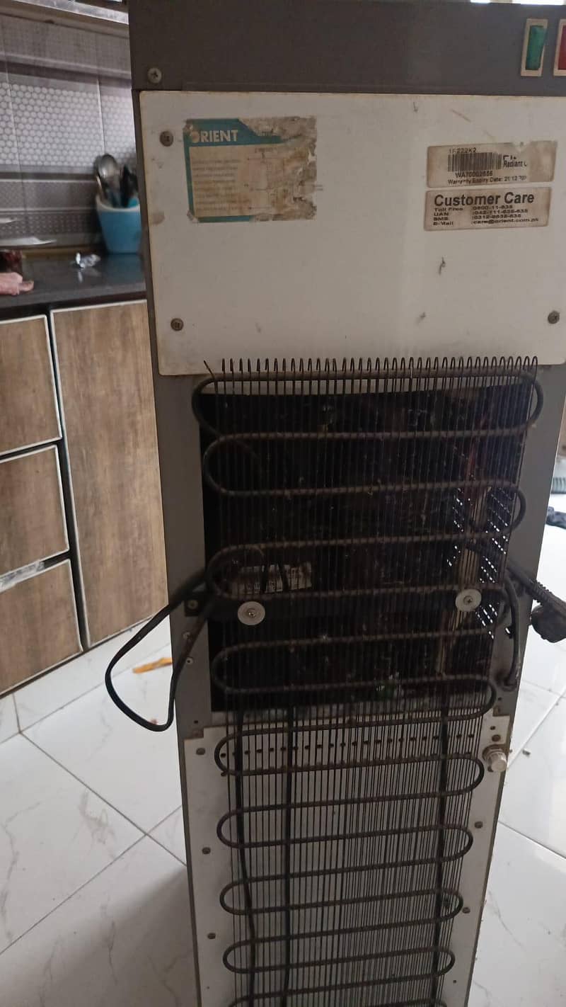ORIENT 3