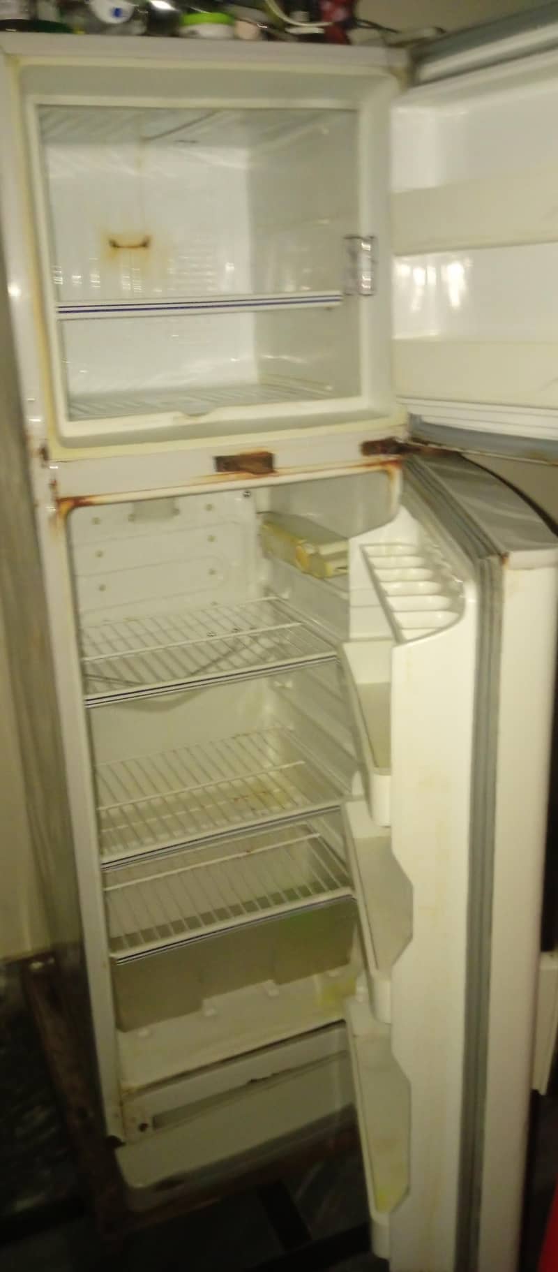 20000 2