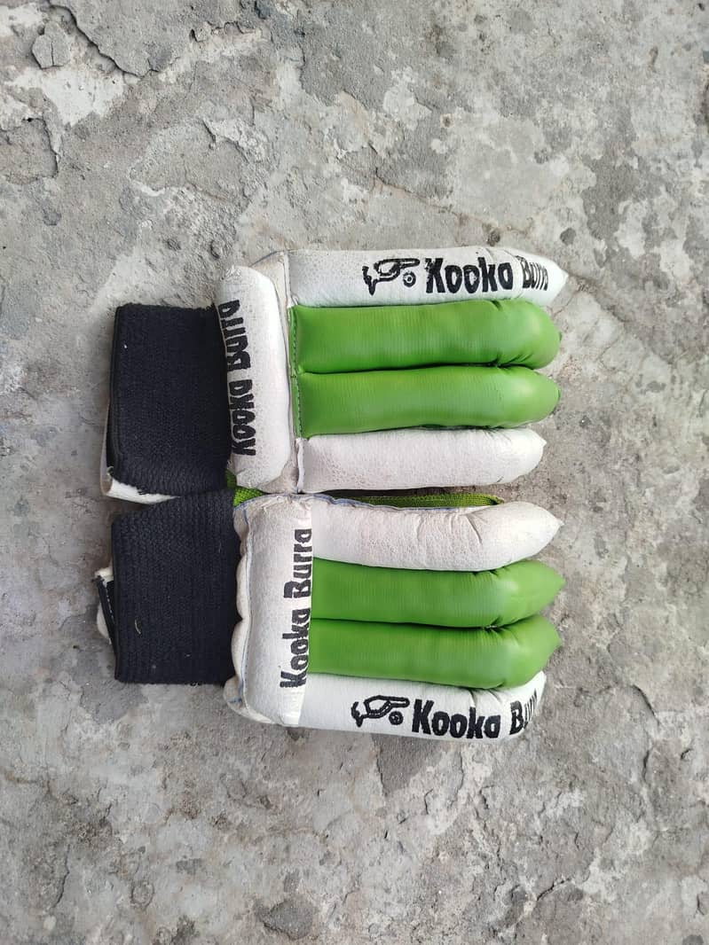 Cricket kit 6