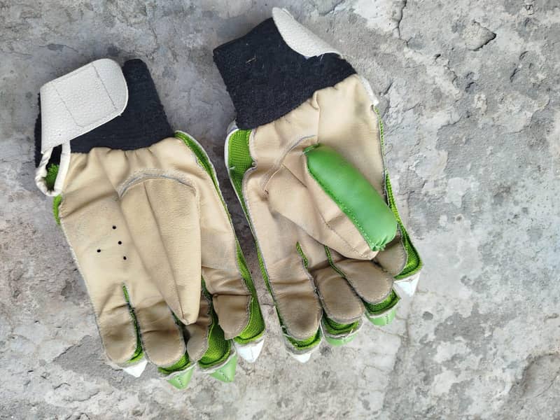 Cricket kit 7