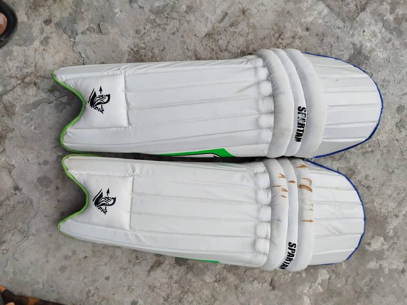 Cricket kit 10