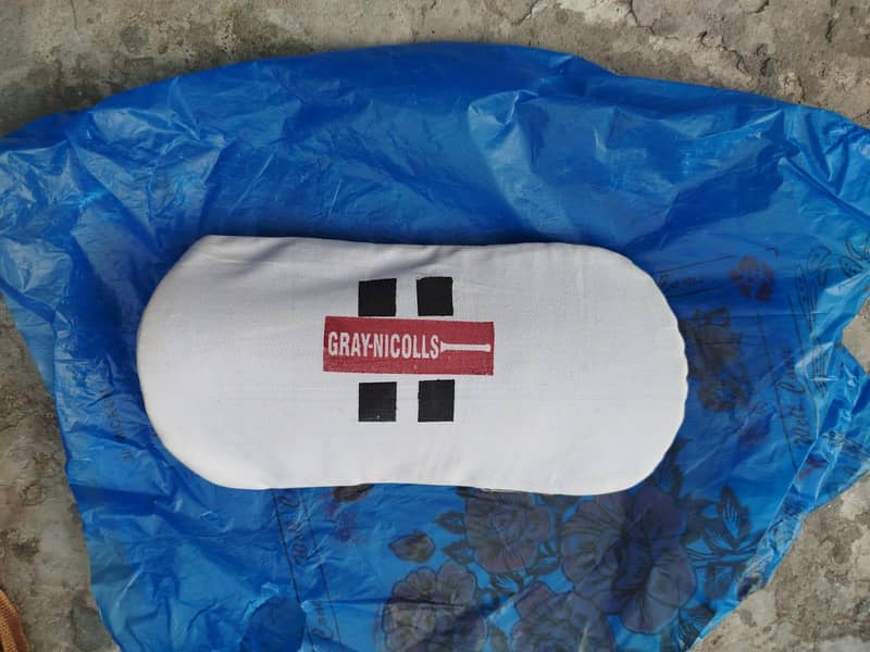 Cricket kit 11