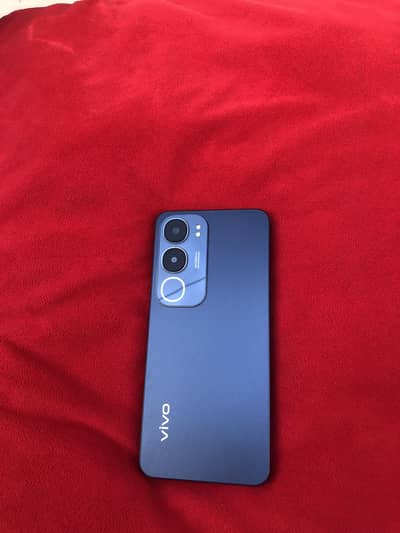 Vivo y 19s