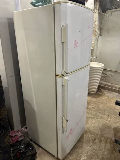 Hair Refrigerator